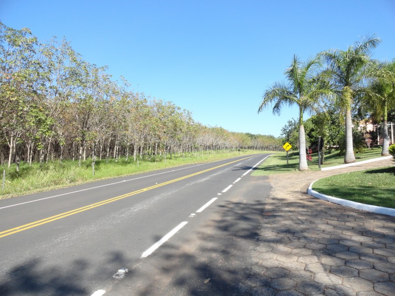 平坦的公路圖片