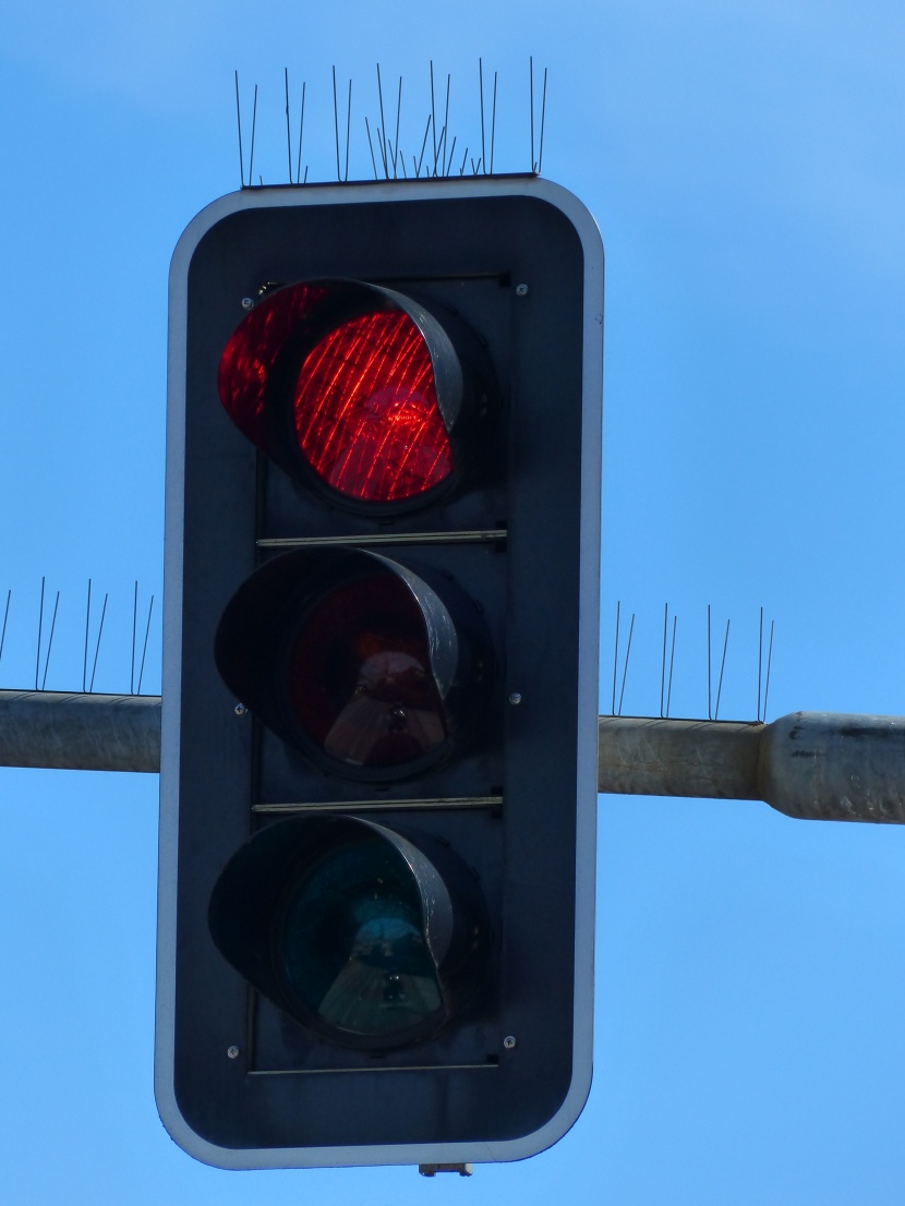 道路上的紅綠燈圖片