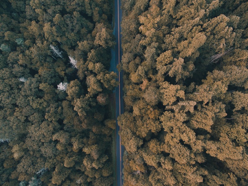 筆直的公路圖片