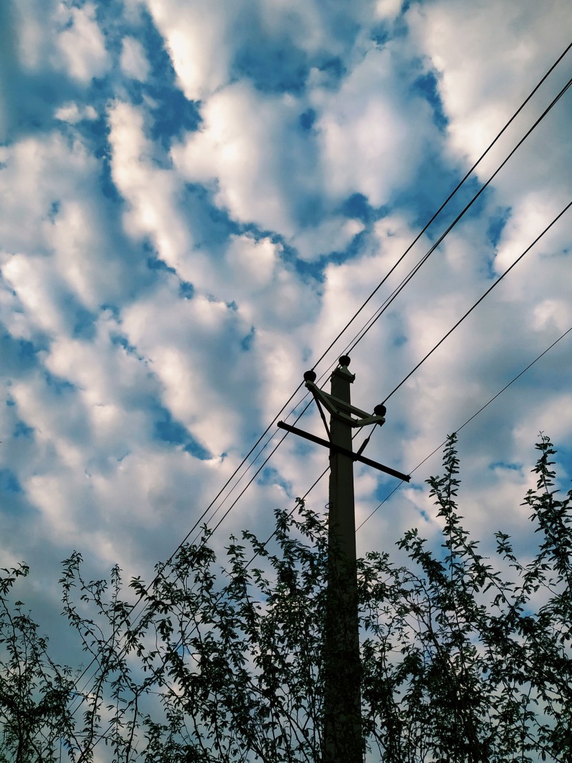 晴空下的電線杆圖片