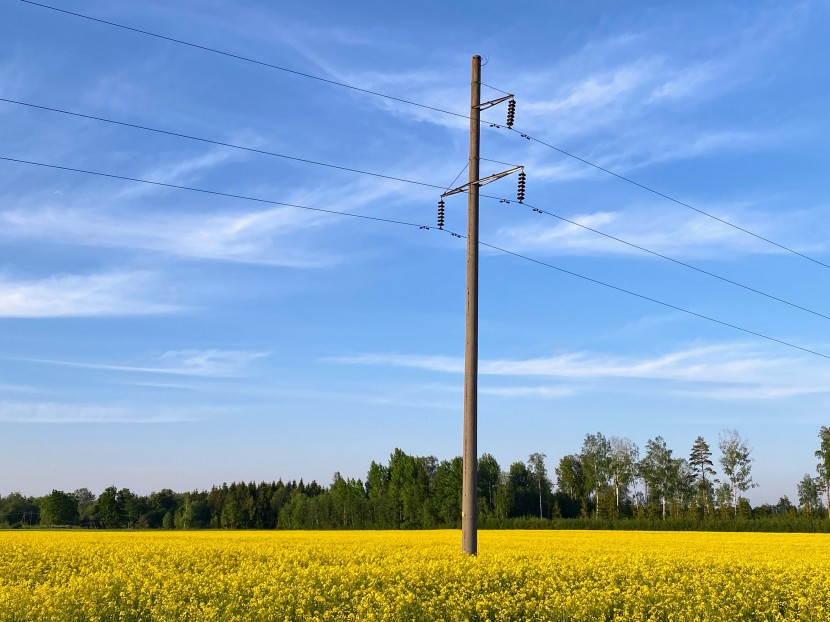 晴空下的電線杆圖片