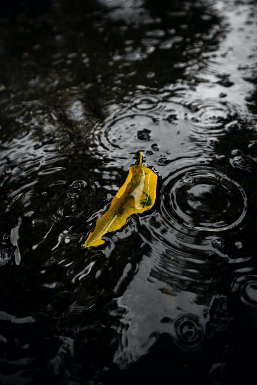 雨後地面的水坑圖片