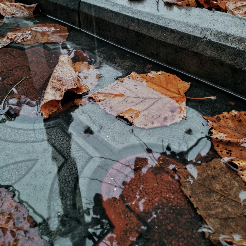 雨後地面的水坑圖片