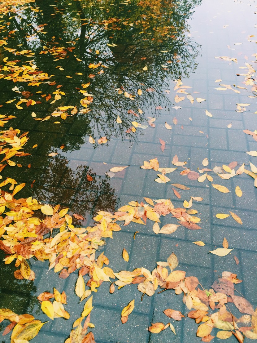 雨後地面的水坑圖片