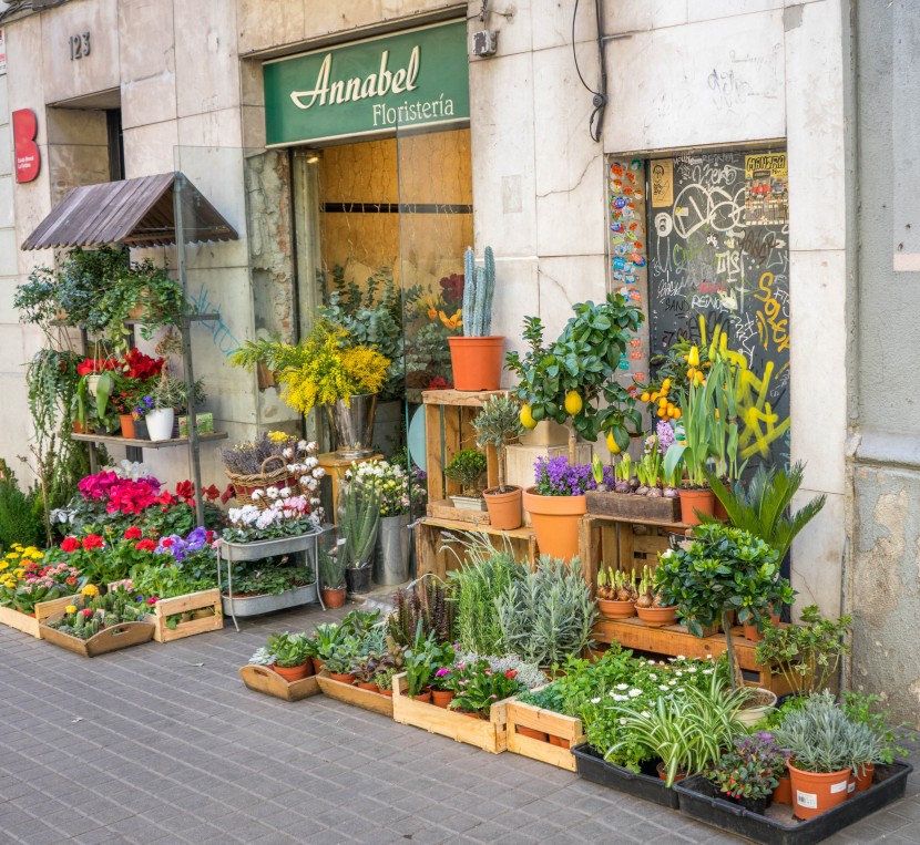 溫馨的街邊花店圖片