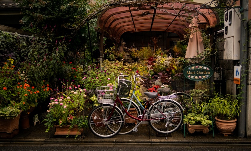 街邊溫馨的花店圖片