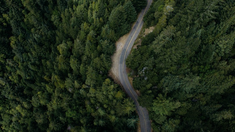 彎曲的公路圖片