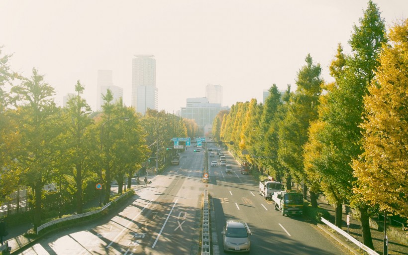 唯美城市街道公路圖片