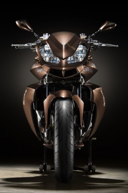 Vilner改裝Aprilia(阿普利亞)Stingray摩托車圖片