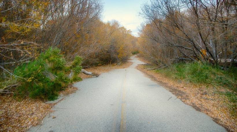 柏油公路圖片