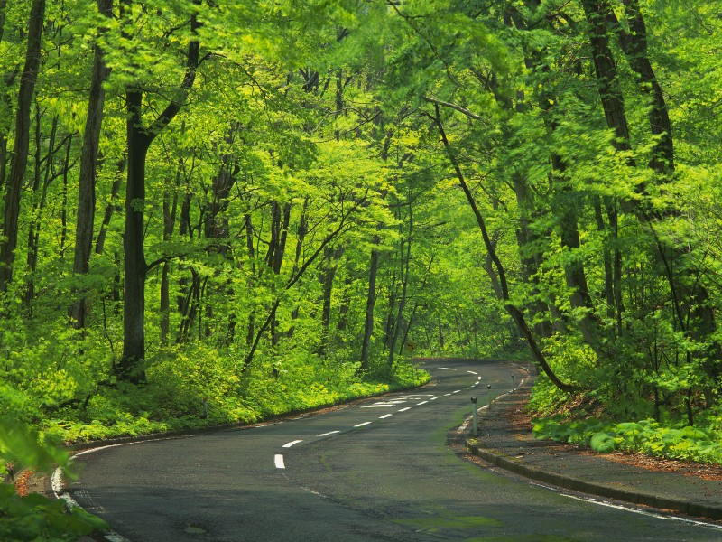 道路圖片