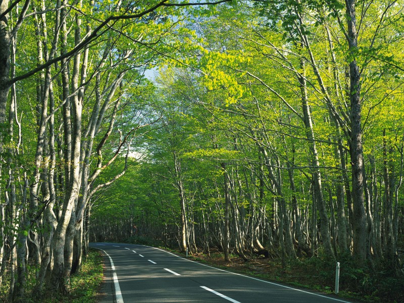 道路圖片