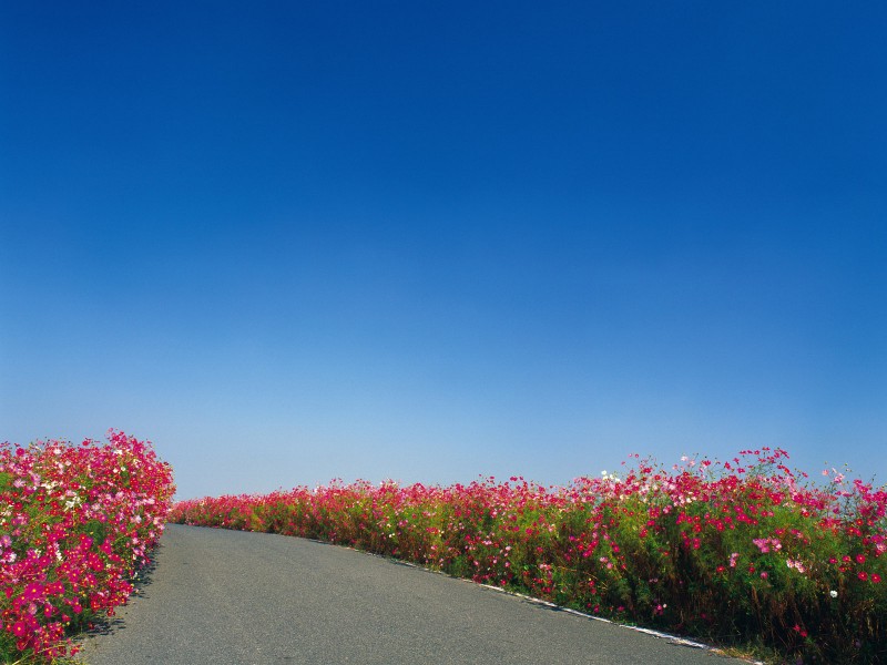 公路道路圖片