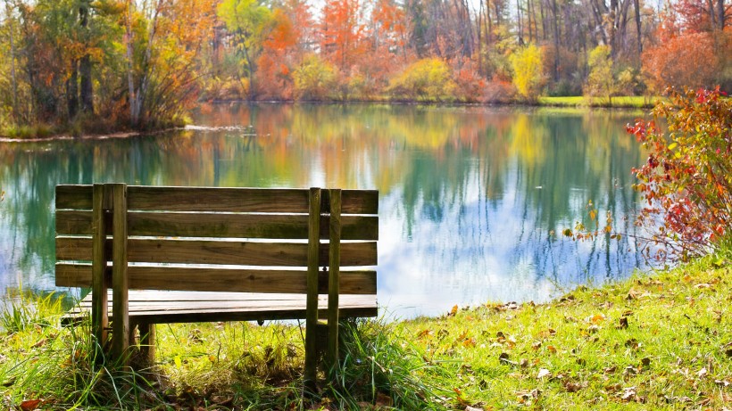 秋天公園裡的長椅圖片