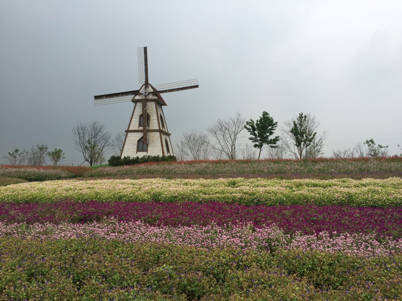 荷蘭風車圖片