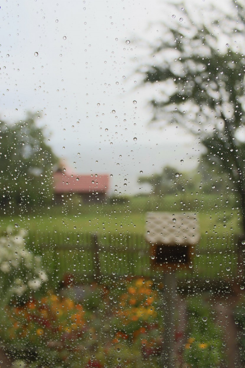 雨天的玻璃窗圖片