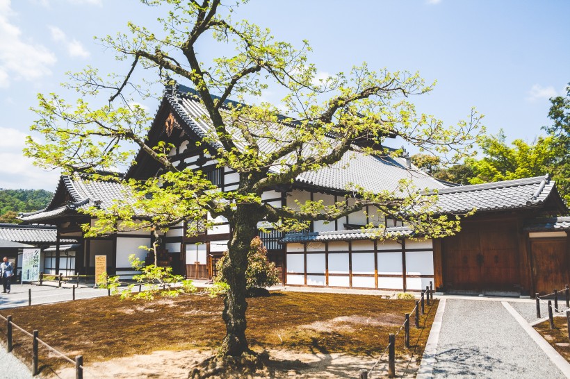 佛教建築寺廟圖片