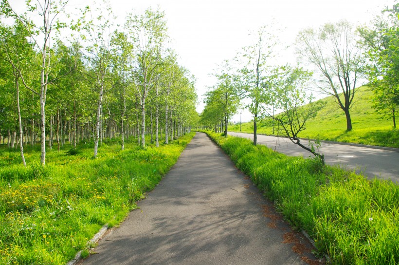 日本劄幌市莫埃來沼公園圖片