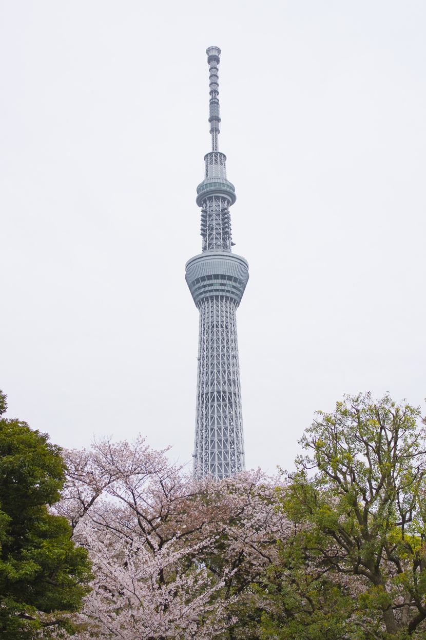 東京晴空塔高清圖片