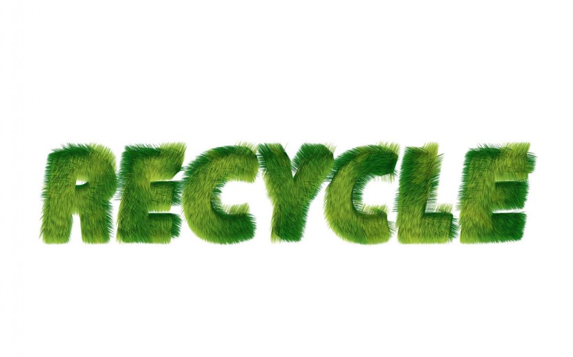 綠色和平環保标志圖片