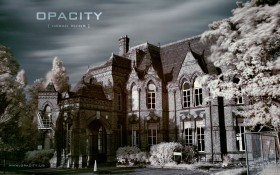 opcity城市廢墟圖片