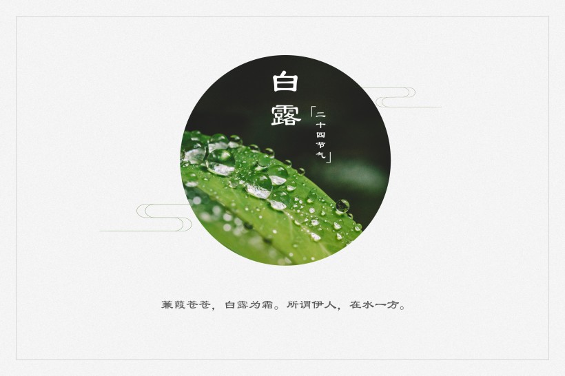 二十四節氣之白露設計素材圖片