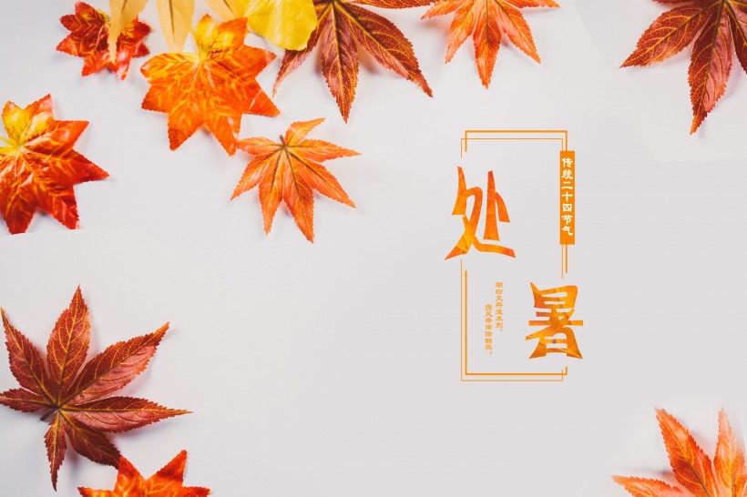 二十四節氣之處暑設計素材圖片
