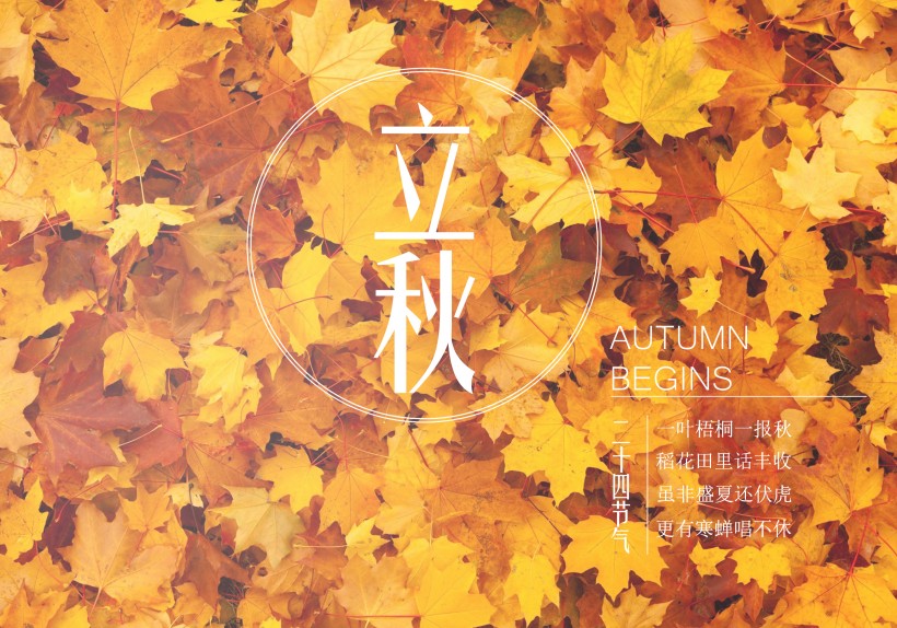 二十四節氣之立秋設計素材圖片