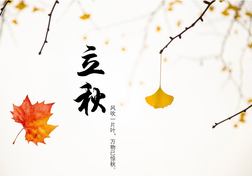 二十四節氣之立秋設計素材圖片