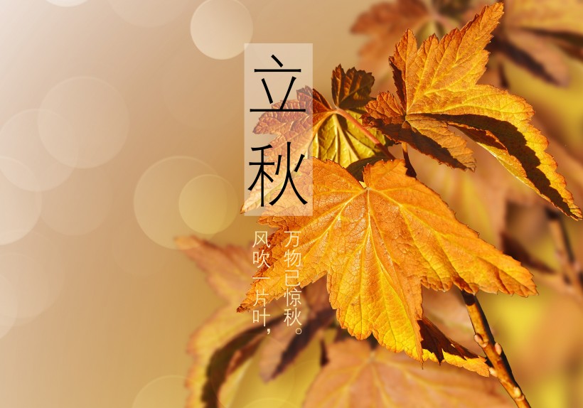 二十四節氣之立秋設計素材圖片
