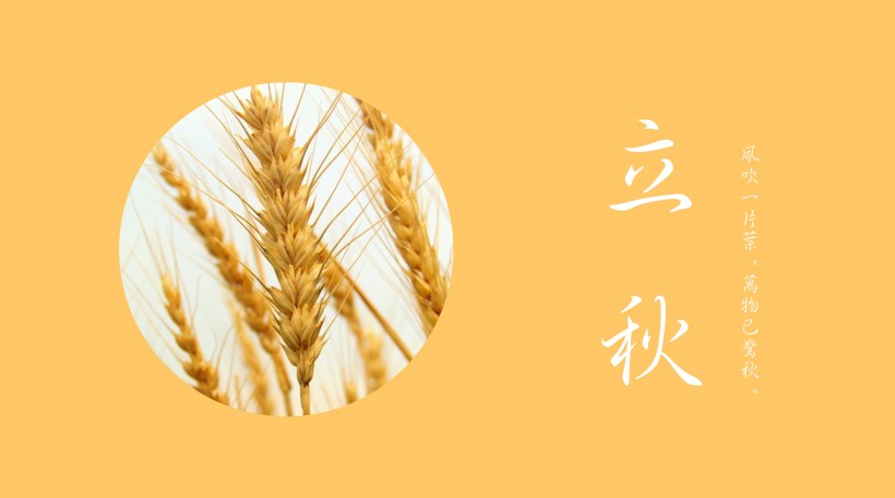 二十四節氣之立秋設計素材圖片