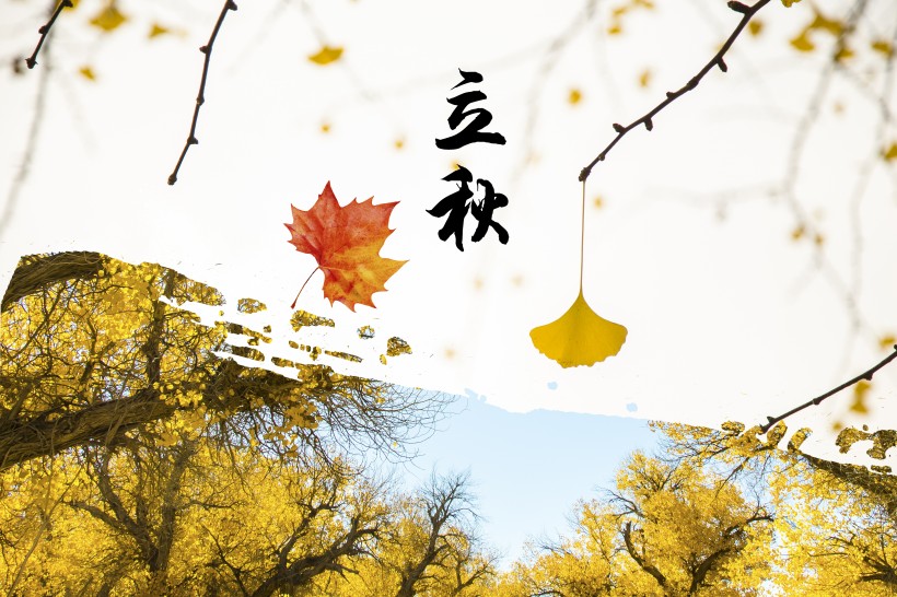 二十四節氣之立秋設計素材圖片