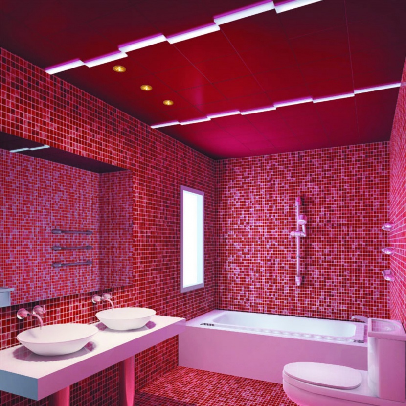 熱情紅色系衛生間設計圖片
