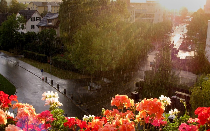 雨天風景圖片