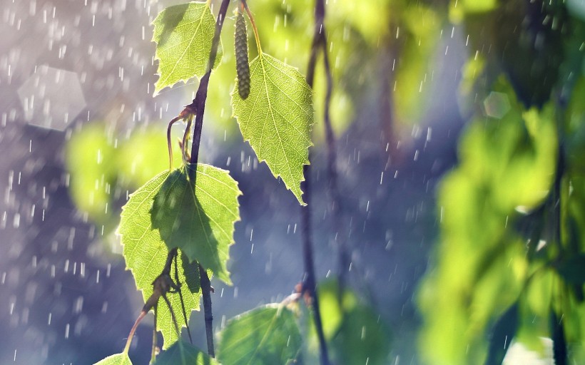 雨天風景圖片