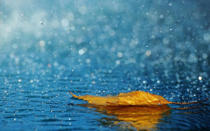 雨天風景圖片