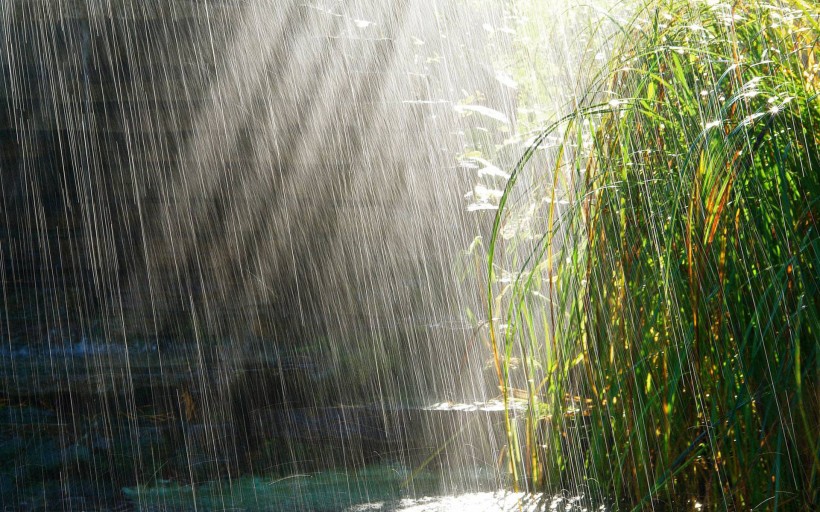 雨天風景圖片