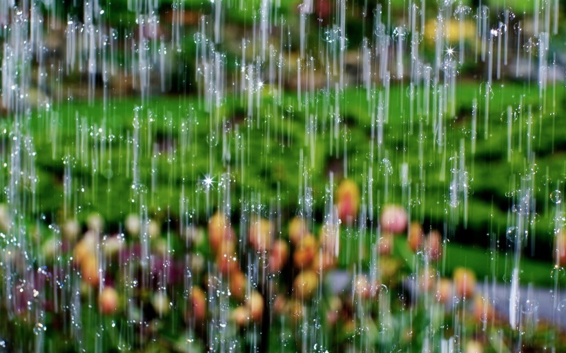 雨天風景圖片