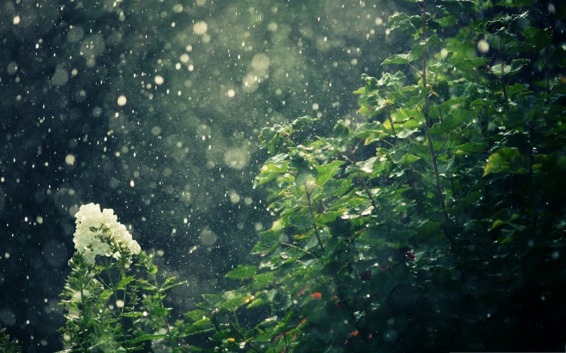 雨天風景圖片