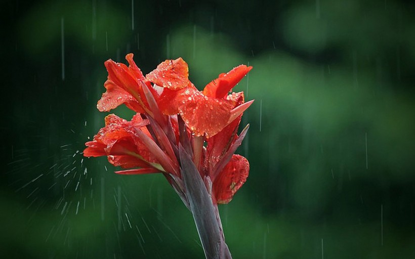 雨天風景圖片