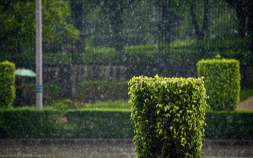 雨天風景圖片