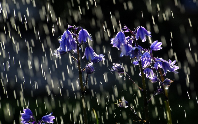 雨天風景圖片