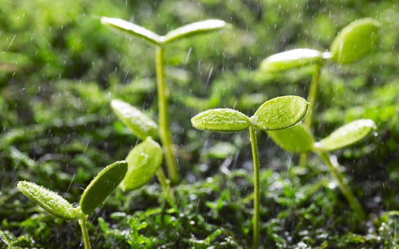 雨天風景圖片