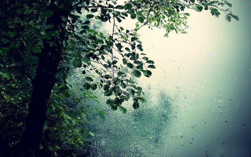 雨天風景圖片