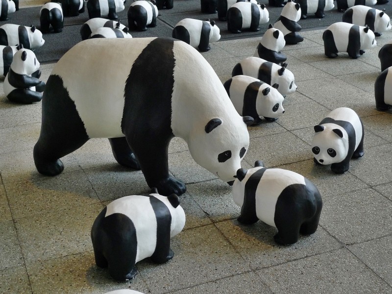 紙糊熊貓展圖片