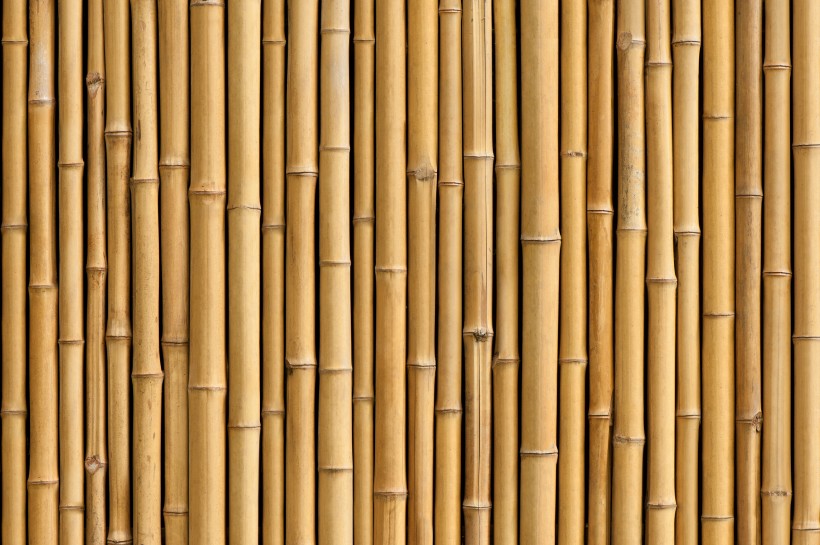 成排的竹子背景素材圖片