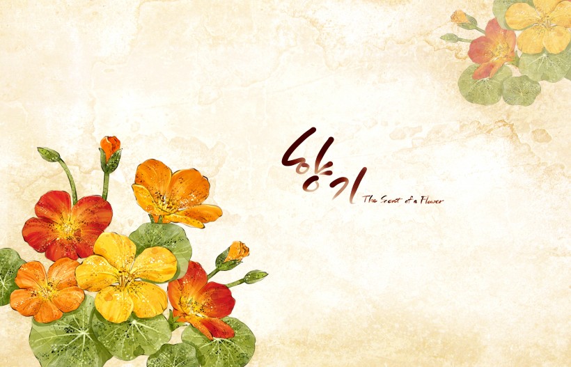 明亮黃色韓國<a href=https://www.meiriqutu.com/tag/huaduo2.html target=_blank class=infotextkey><a href=https://www.meiriqutu.com/tag/7605.html target=_blank class=infotextkey>花朵</a></a>背景圖片