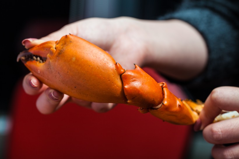 美味海鮮大餐圖片