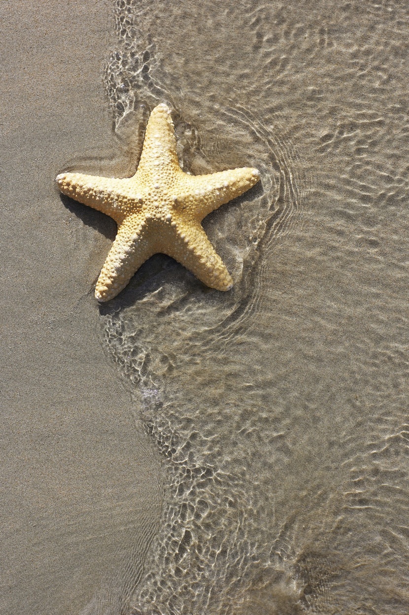 旅遊圖鑒圖片
