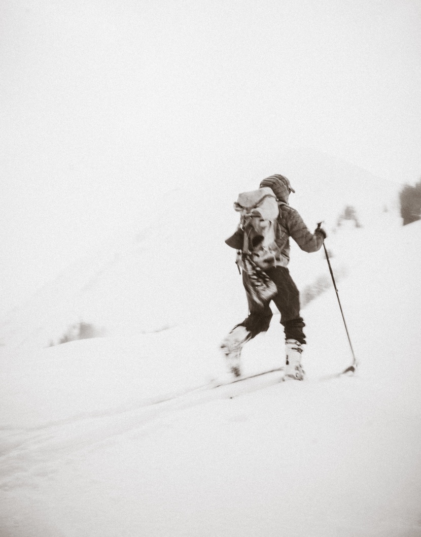 高山滑雪運動圖片